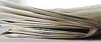 Newsletter Newsletter